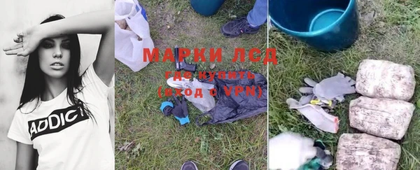 ПСИЛОЦИБИНОВЫЕ ГРИБЫ Абаза